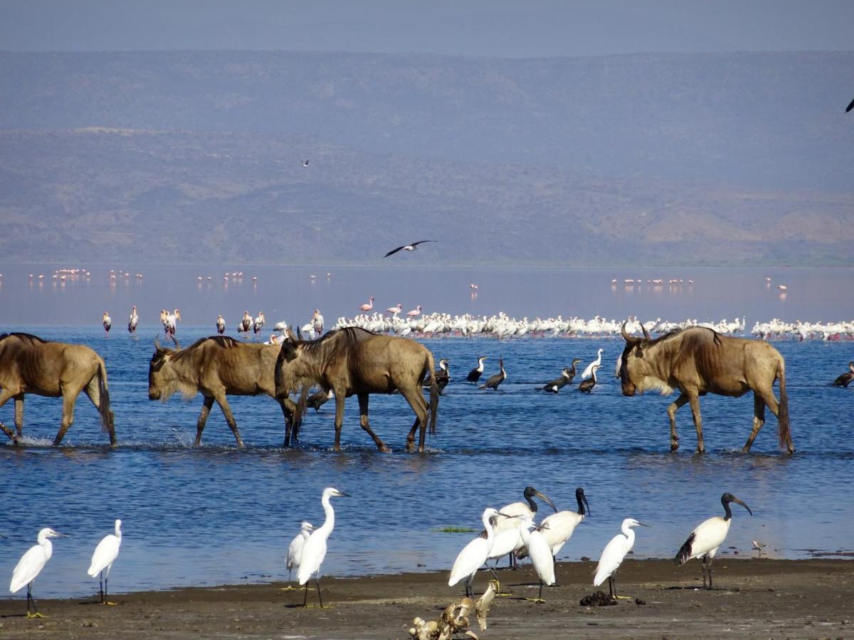 Africa Safari Lake Natron Mtowabaga Exteriér fotografie