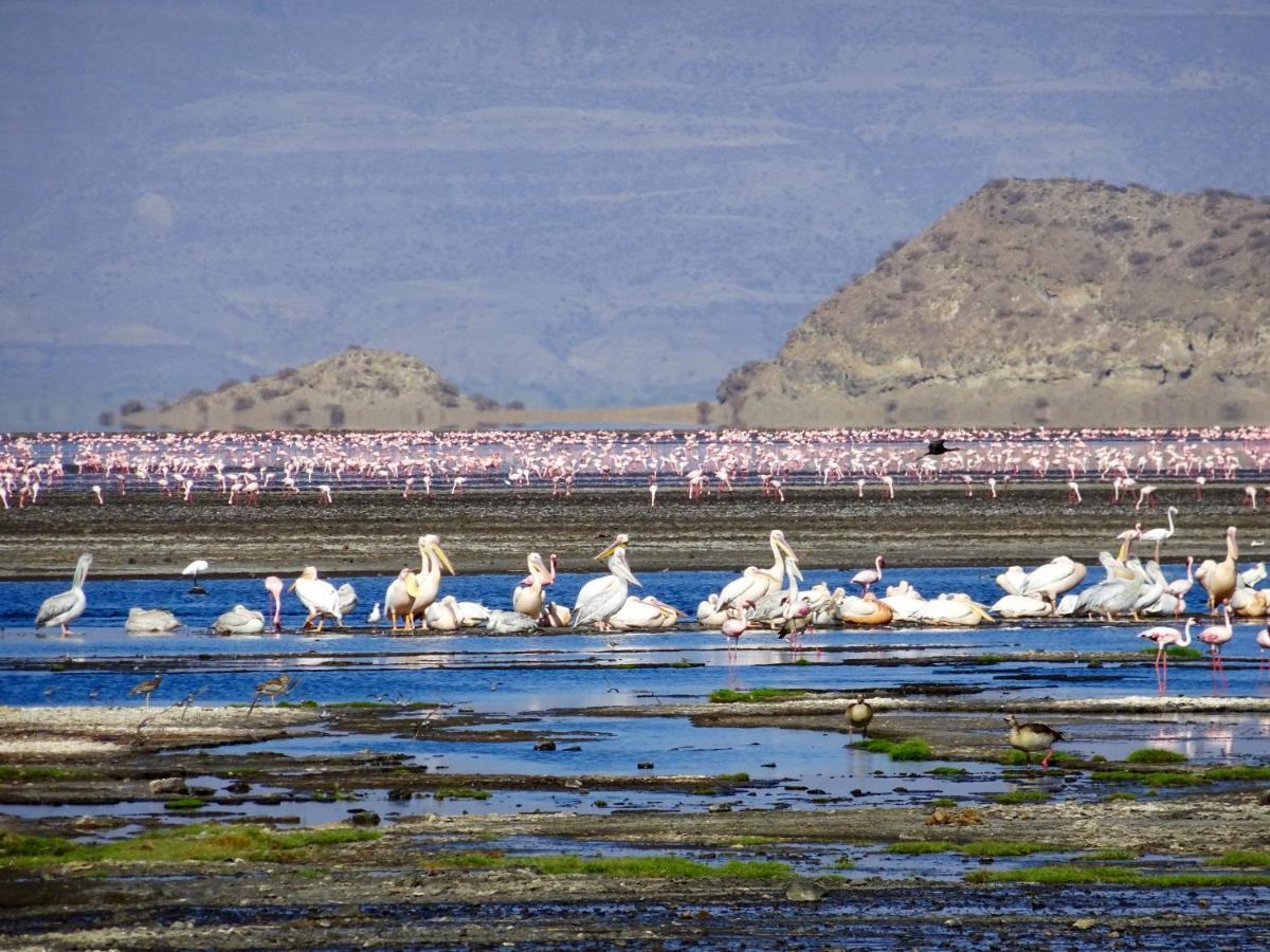 Africa Safari Lake Natron Mtowabaga Exteriér fotografie